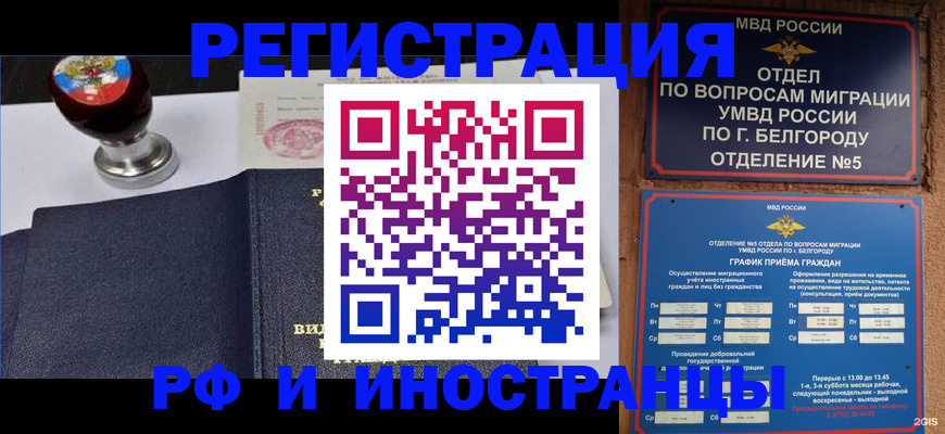 временная регистрация поиск в Судогде